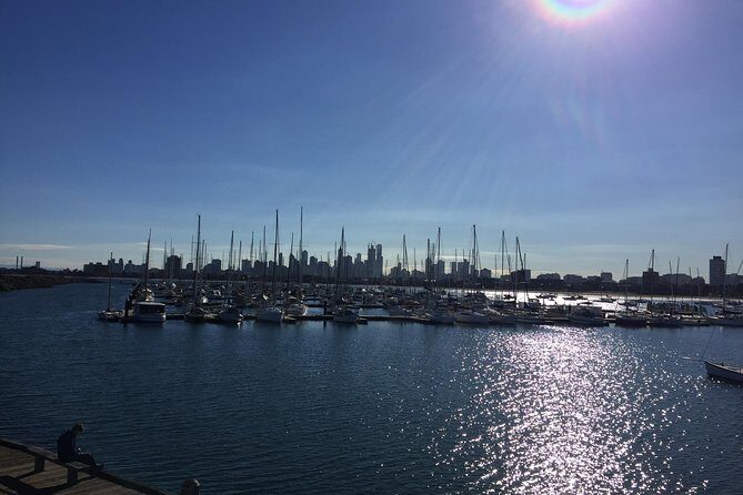 Full Day Private Melbourne Tour with enchanting Koala Encounters. - St Paul’s, Federation Square, and Parliament: hitting the city core fast
