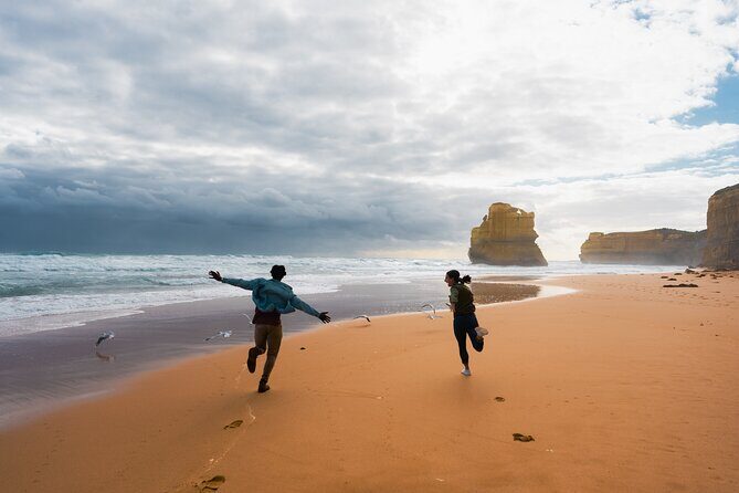 Full Day Tour of Great Ocean Road and 12 Apostles from Melbourne - Kennett River Wildlife Stop: Where the Animals Actually Matter