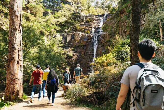 Grampians National Park Small-Group Eco Tour from Melbourne - Key Highlights You’ll Actually Feel in Your Day