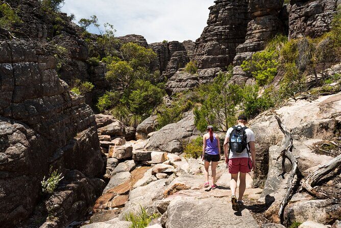 Grampians National Park Small-Group Eco Tour from Melbourne - A Long Morning to the Grampians: 7:00 am, Pickup, and a Manageable Group