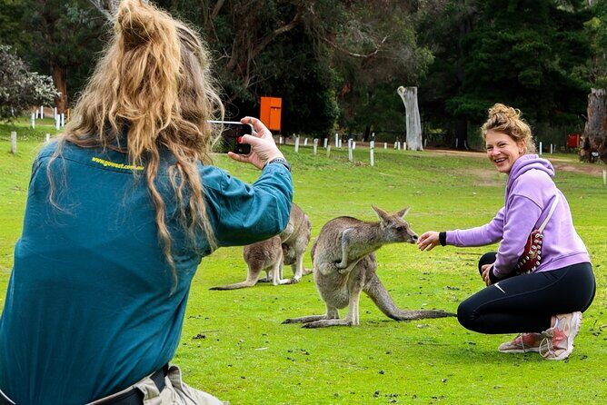Grampians National Park Small-Group Eco Tour from Melbourne - MacKenzie Falls and Silverband Falls: Waterfalls with Different Personalities