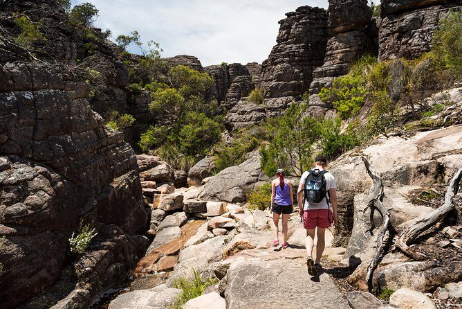 Grampians National Park with MacKenzie Falls and Kangaroos - Boroka Lookout (and a possible swap): when visibility changes, your plan adapts