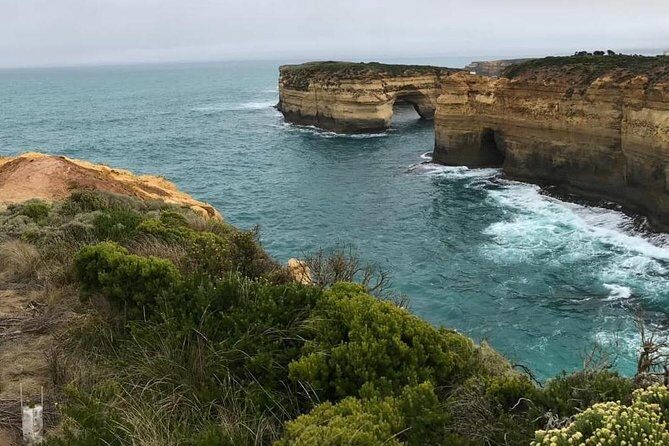 Great Ocean Road 12 Apostles kangaroo, koala and chocolate tour - Why This 12-Hour Great Ocean Road Tour Fits a Budget