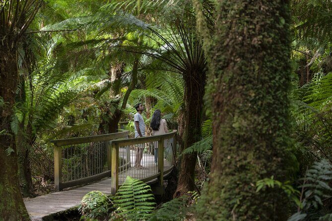Great Ocean Road, 12 Apostles, Loch Ard Gorge & lunch - Melbourne - Down the Great Ocean Road: Two Hours of Coast Time