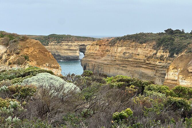 Great Ocean Road 12 apostles PRIVATE Luxury Tour 5 PAX all incl. - Mutton Bird Lookout: 200 million years of ocean debris