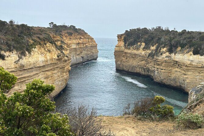 Great Ocean Road 12 apostles PRIVATE Luxury Tour 5 PAX all incl. - Mait’s Rest: mountain ash, ferns, and a rainforest reset