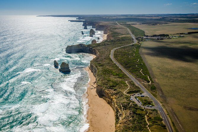 Great Ocean Road 12 Apostles & Rainforest Walk with Morning Tea - Key highlights worth getting excited about