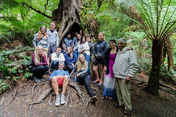 Great Ocean Road 12 Apostles & Rainforest Walk with Morning Tea - Twelve Apostles: how much time you actually get