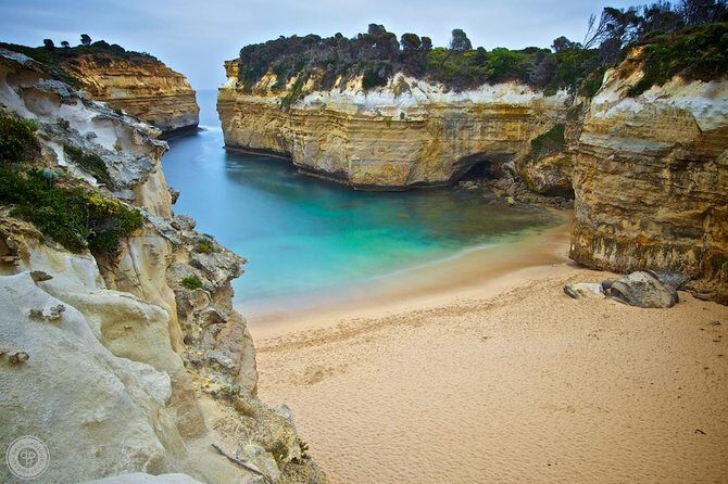 Great Ocean Road & Beyond 4 day Adventure Melbourne to Adelaide - Day 1: Great Ocean Road start, koala spotting, and Otways rainforest walking