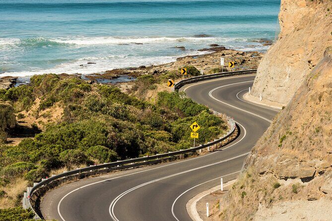 Great Ocean Road Coastal Spectcular with Wildlife Wonders - Gorge Chocolates and Loch Ard Gorge: farmyard fun and a real rescue story