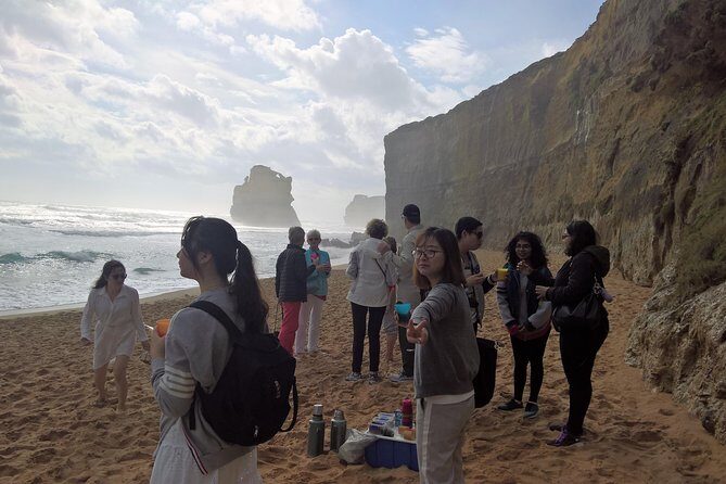 Great Ocean Road Full Day Private Experience - Wildlife spotting that feels more natural than a checklist