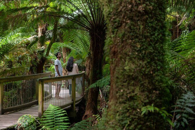 Great Ocean Road Grampians 3 Day National Park Tour Melbourne Roundtrip - Key highlights to know before you go