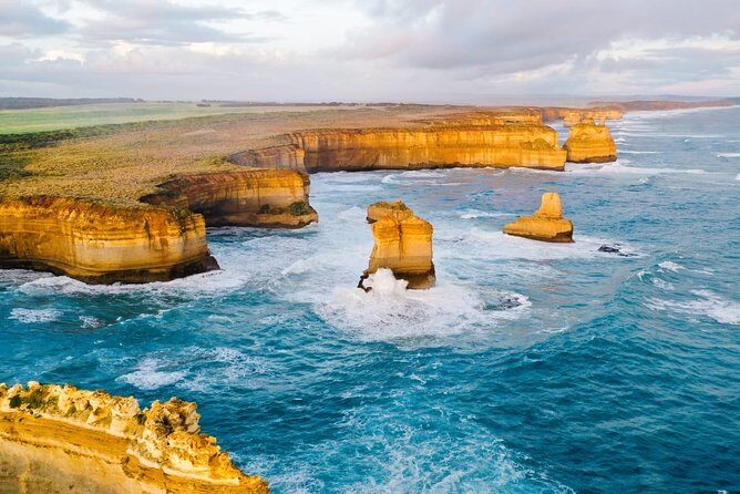 Great Ocean Road Medium Size Group Tour - Price and Value: What $114.76 Buys You in Real Life