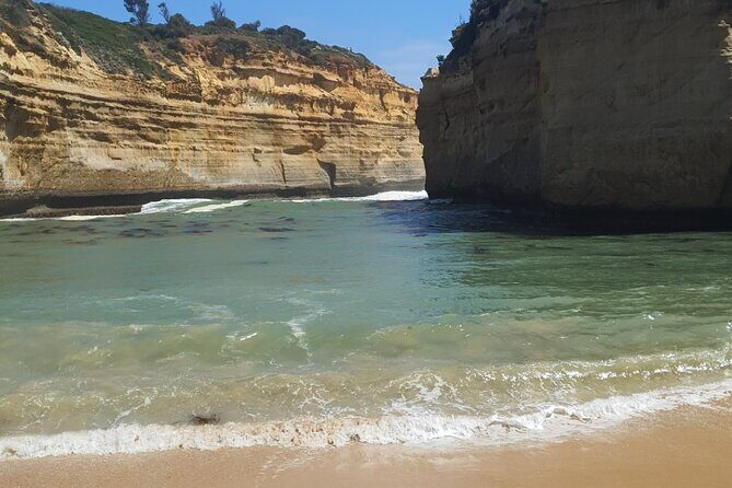 Great Ocean Road Private Day Tour - Price and logistics: what private really buys you