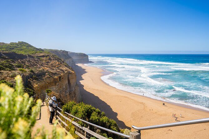 Great Ocean Road Reverse Itinerary Boutique Tour - Max 11 Guests - Kennett River Koala Walk and orange-bellied parrots