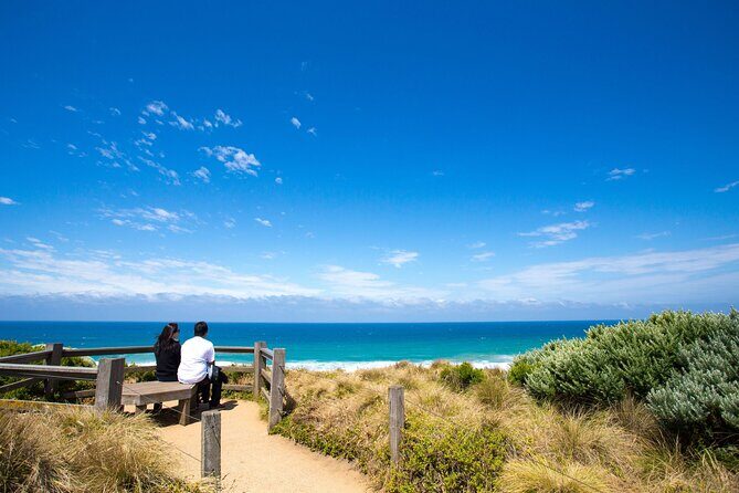 Great Ocean Road Reverse Tour with Iconic Stops & Wildlife - Wildlife and koalas: how to set yourself up for the best odds