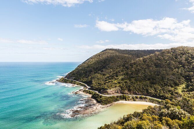 Great Ocean Road Small Group Tour with Dingos, Sparkling & Lunch - Apollo Bay: beach time that feels like a real break