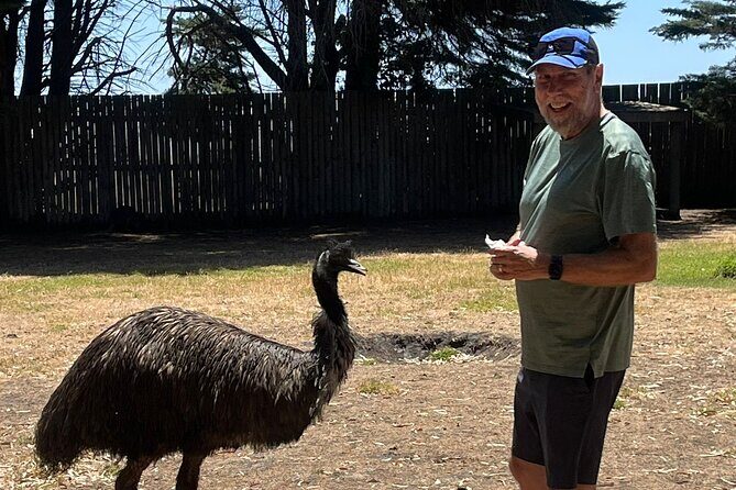 Great Ocean Road Small Group Tour with Dingos, Sparkling & Lunch - How the tour delivers value at $125.52 per person
