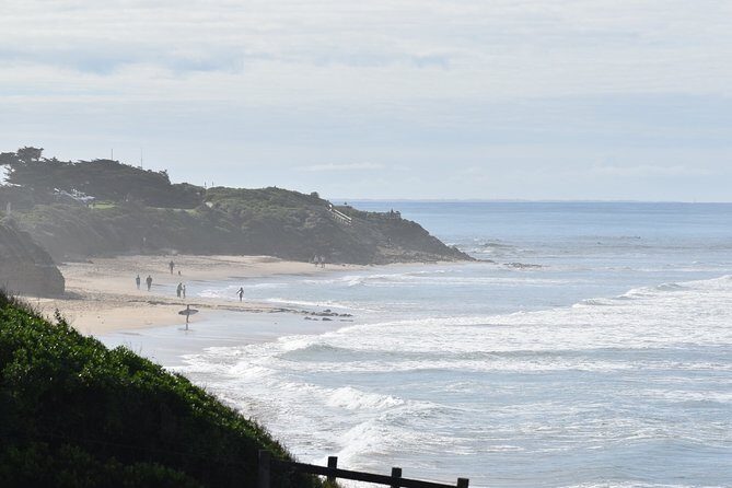 Great Ocean Road Tour Plus Koalas, Forest Walk and Morning Tea - Kennett River Koalas and Parrots: The Wildlife Stop That Drives the Day