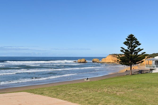 Great Ocean Road Tour Plus Koalas, Forest Walk and Morning Tea - Mait’s Rest Forest Walk Among the Tall Trees