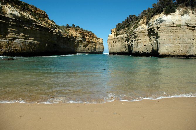 Great Ocean Road Tour Plus Koalas, Forest Walk and Morning Tea - Apollo Bay: Lunch You Choose, Break You Feel