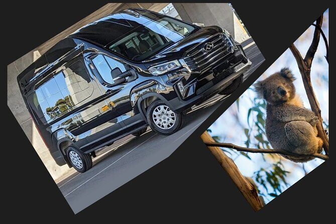 Great Ocean Road Tour Reverse –SML GRP-DLUX Mini Bus Hotel Pickup - Apollo Bay Lunch and the Chance to Slow Down for 40 Minutes
