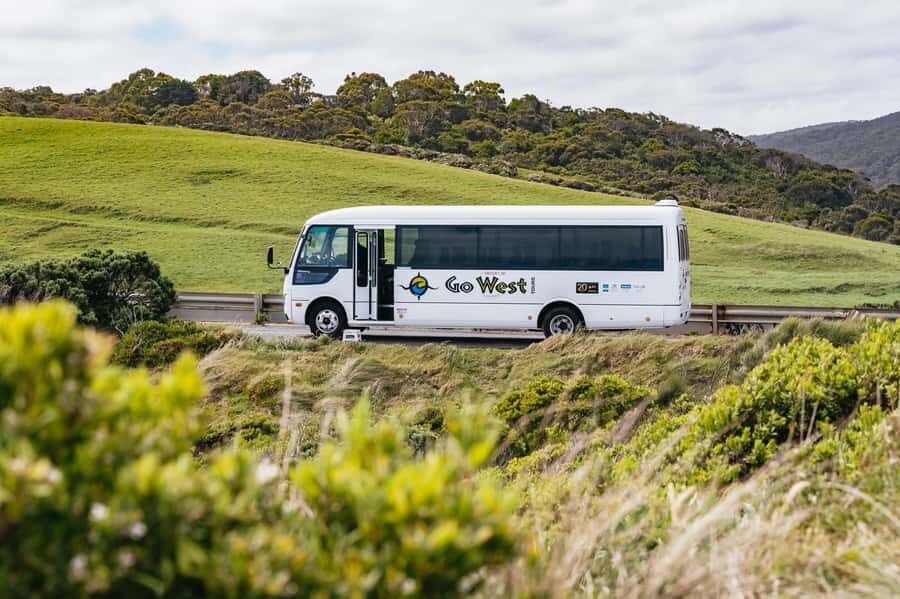 Great Ocean Road Tour w/ Deluxe Minibus & Top-Rated Guide - What the Day Feels Like (Timing, Energy, and Pacing)