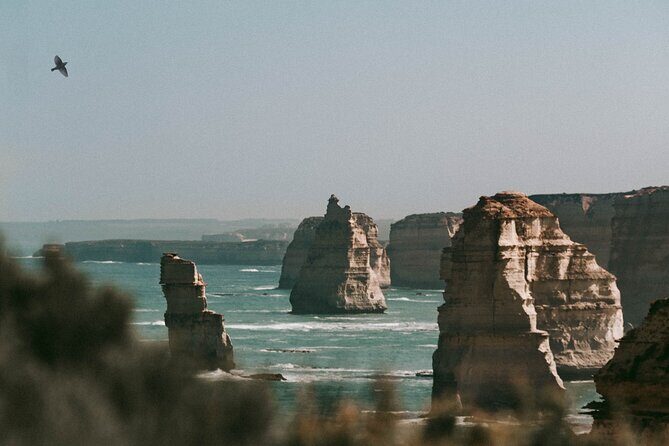 Half-Day or Full-Day Tour with Private Guide from Melbourne - Choosing Your Best Half Day vs Full Day Plan (and why it matters)