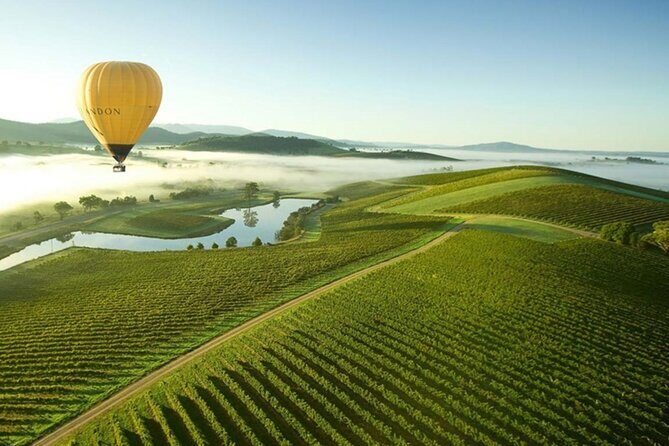 Half-Day or Full-Day Tour with Private Guide from Melbourne - Price and Value for a Private Group Up to 7
