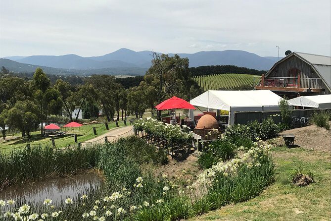 Half-Day or Full-Day Tour with Private Guide from Melbourne - How the Guide Customizes Your Day (and what to ask on day one)