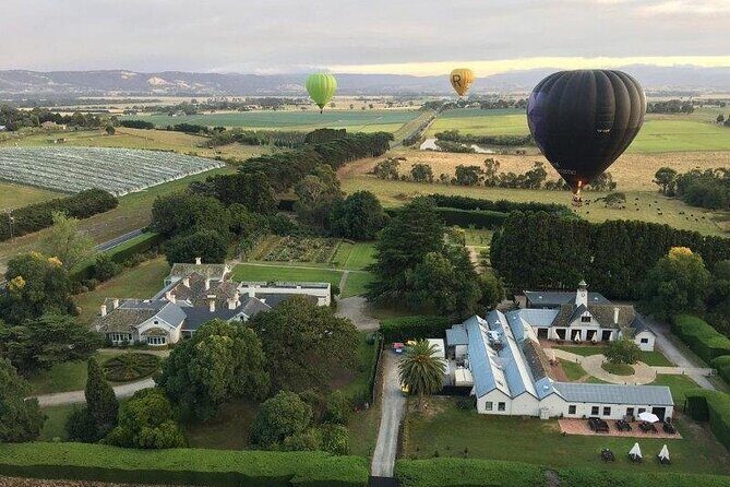 Hot Air Balloon Flight over the Yarra Valley - Key highlights worth waking up for