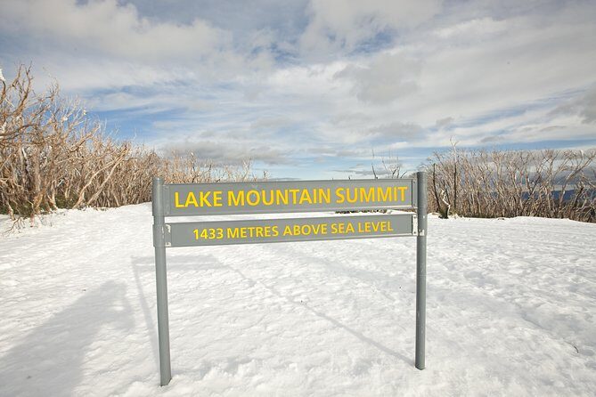 Lake Mountain Snow Trip including Yarra Valley Chocolaterie from Melbourne - Price and value: $129.10 for a full day of winter + chocolate