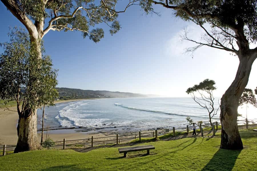 Luxe Bus Great Ocean Road Coastal Spectacular - Who this tour suits best (and who should skip it)