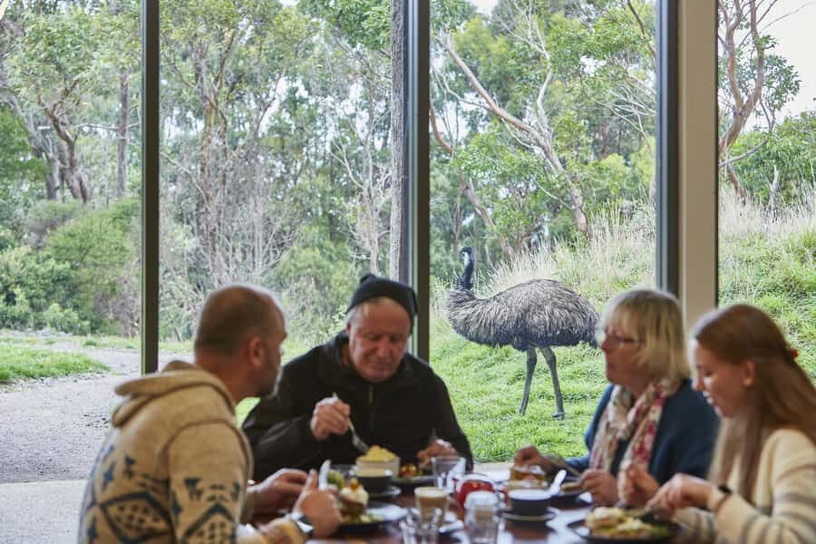 Luxe Bus Great Ocean Road Coastal Spectacular - Gorge Chocolates stop: tasting treats and meeting suri alpacas