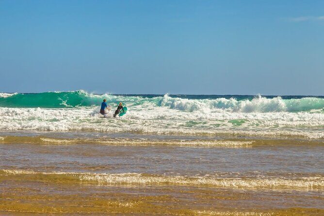 Luxury Phillip Island Tour for Families & Explorers [up to 10Pax] - Cape Woolamai’s seasonal advantage in summer