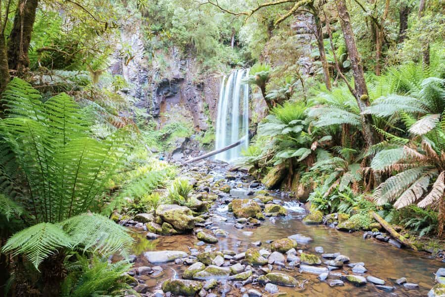Melbourne: 12 Apostles, Otways & Great Ocean Road Day Tour - Key points to know before you go