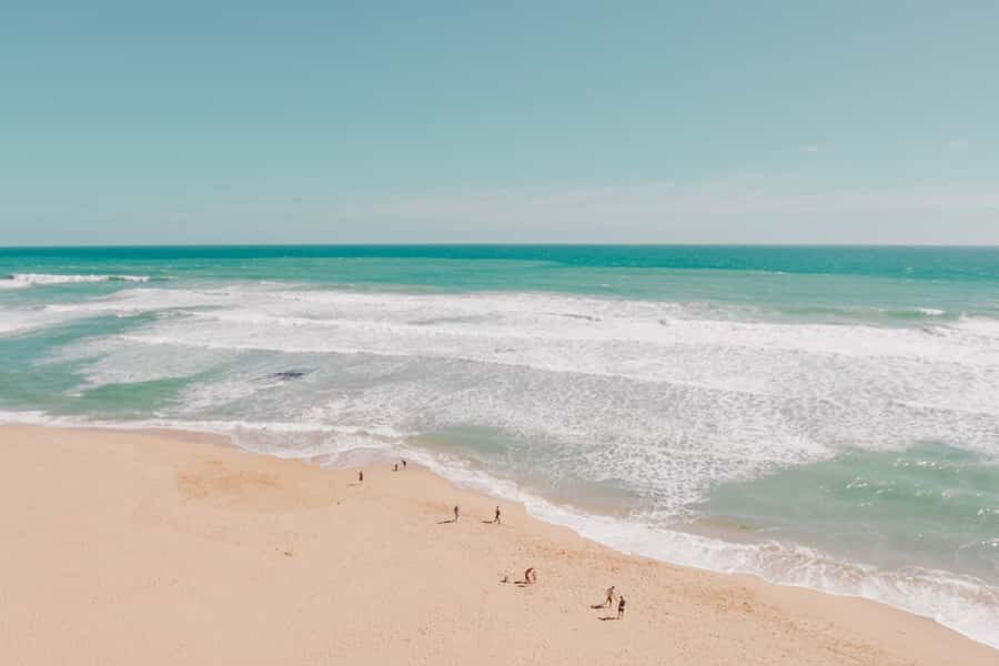 Melbourne: 12 Apostles, Otways & Great Ocean Road Day Tour - Small-group van logistics that keep the day manageable