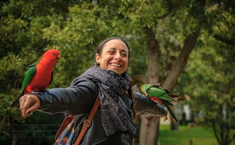 Melbourne: 12 Apostles Sunset Tour - Less Crowds - What to pack for a long windy evening