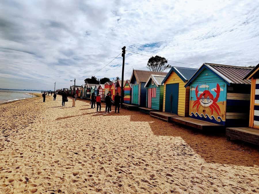 Melbourne 3-Hour Small Group Tour with Beach Boxes - Collins Street, Docklands, and the Big-City Contrast