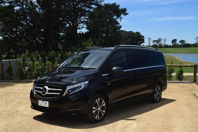 Melbourne Airport Transfers - Luxury vs Standard Cars: What You’re Really Paying For
