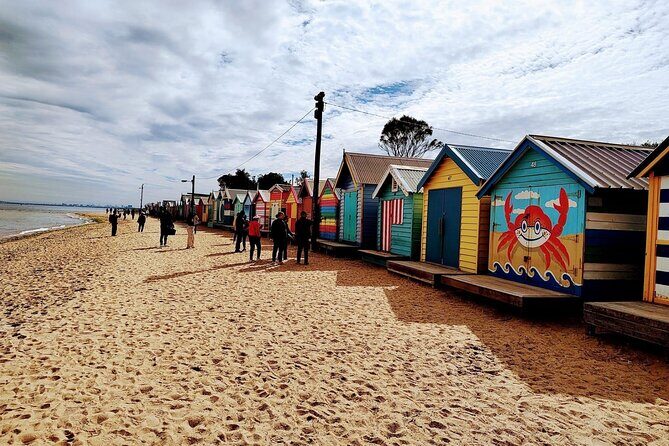 Melbourne and Moonlit Sanctuary Shore Excursion - Key Highlights at a Glance