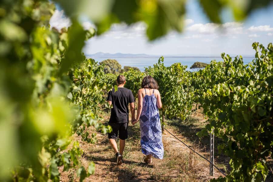 Melbourne: Around the Bay Food & Wine Taste Trail - Scotchmans Hill Vineyard: a Bellarine Peninsula tasting with serious charm