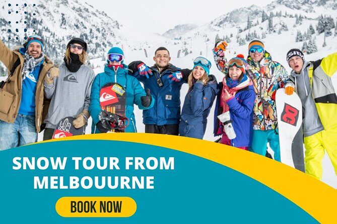 Melbourne CBD to MEL Airport Private Transfer 4 or more - Comfort details that actually help on travel day