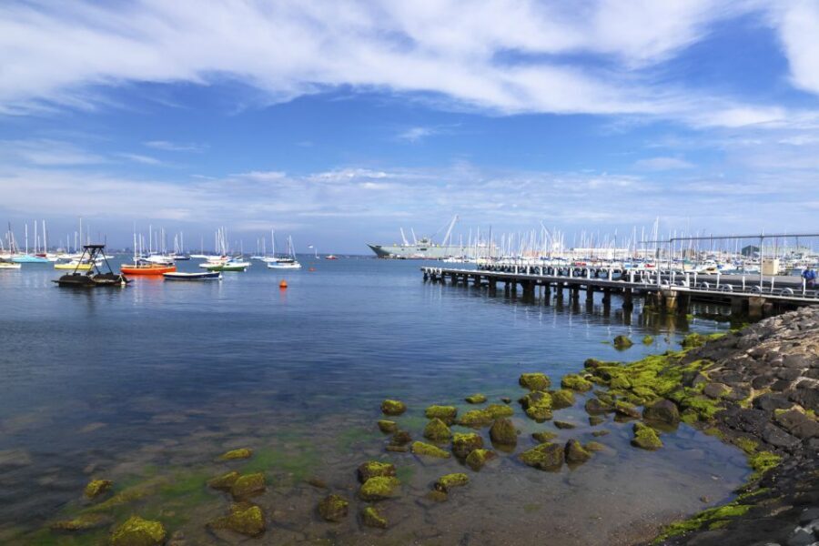 Melbourne: City and Williamstown Ferry Cruise - Price and Value: Why About $23 Works (If You Match the Format)