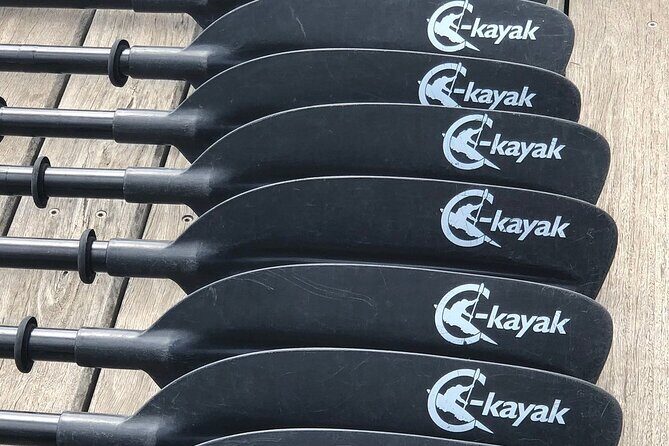 Melbourne City Sights Kayak Tour - Why the Docklands Break Makes This Tour Feel Easy