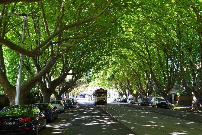 Melbourne Drive by Day - Private Tour - The Bay Trail ride back: views and heritage without extra effort