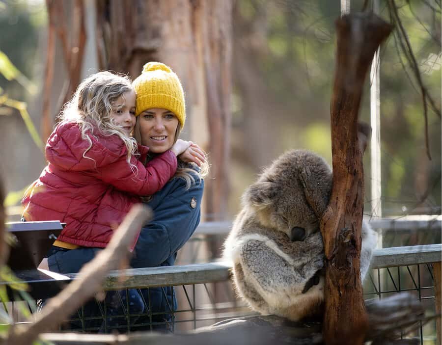 Melbourne: Flexi Pass - Pick 3, 5 or 7 Experiences - Price and Value: Is $112 a Good Deal?