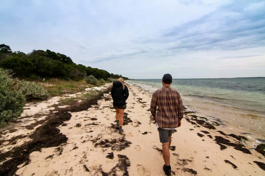 Melbourne: French and Phillip Island Wildlife Expedition - Farm-Gate Lunch or Afternoon Tea: What This Stop Adds