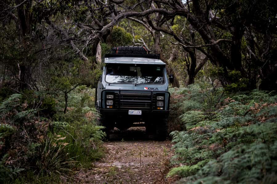 Melbourne: French and Phillip Island Wildlife Expedition - What You’re Really Paying For: Value of a $155 Day