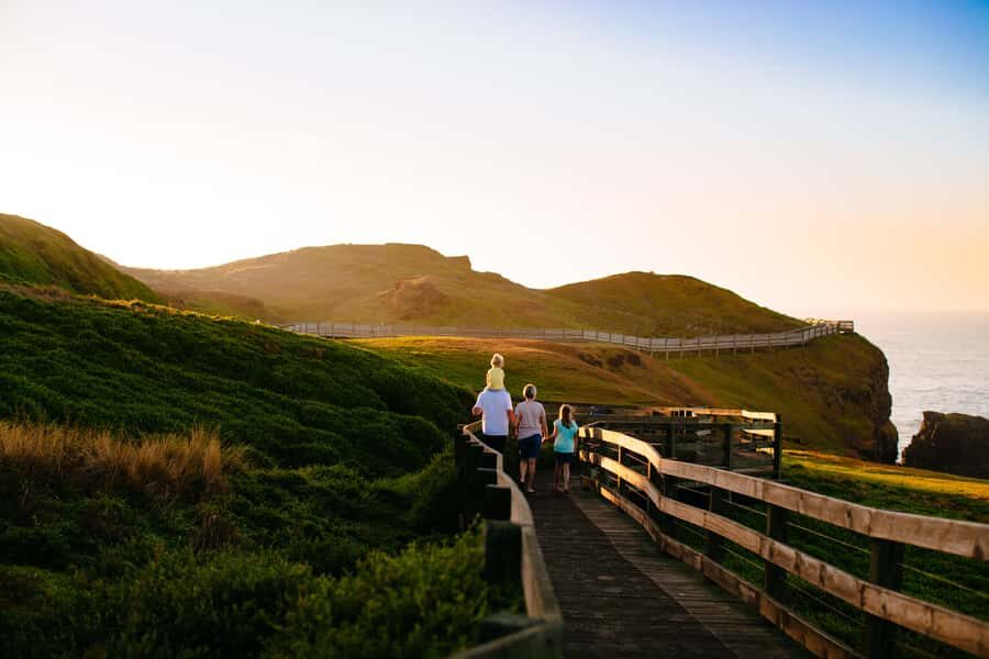 Melbourne: French and Phillip Island Wildlife Expedition - French Island National Park: 2.5 Hours in a 4WD Koala Search